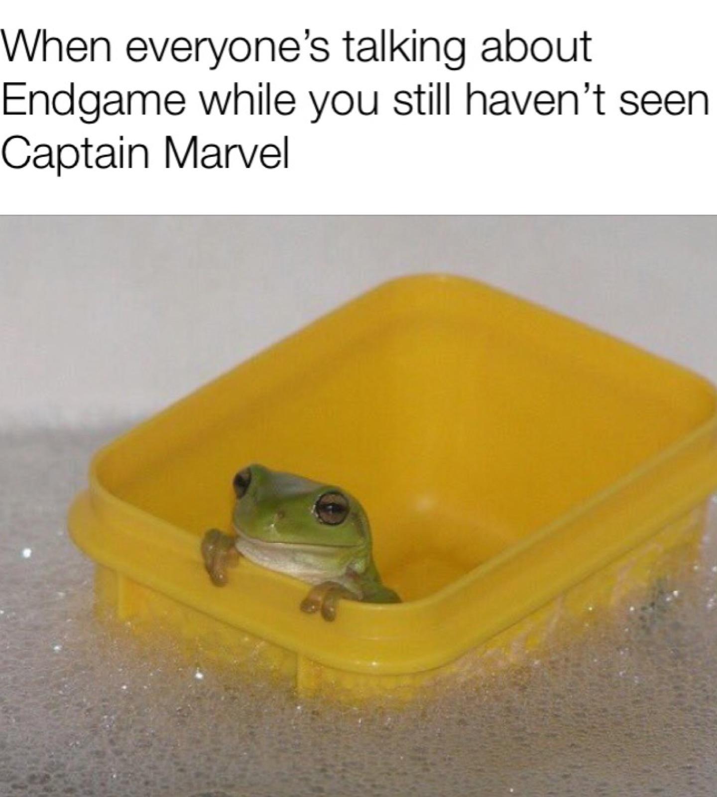 Avengers Endgame memes - plastic - When everyone's talking about Endgame while you still haven't seen Captain Marvel