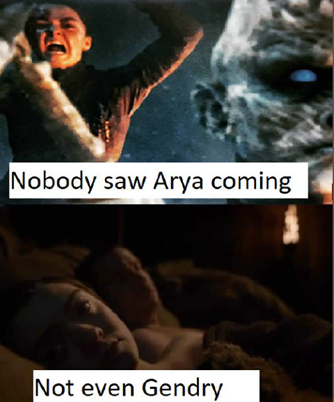 Game of Thrones memes - photo caption - Nobody saw Arya coming Not even Gendry