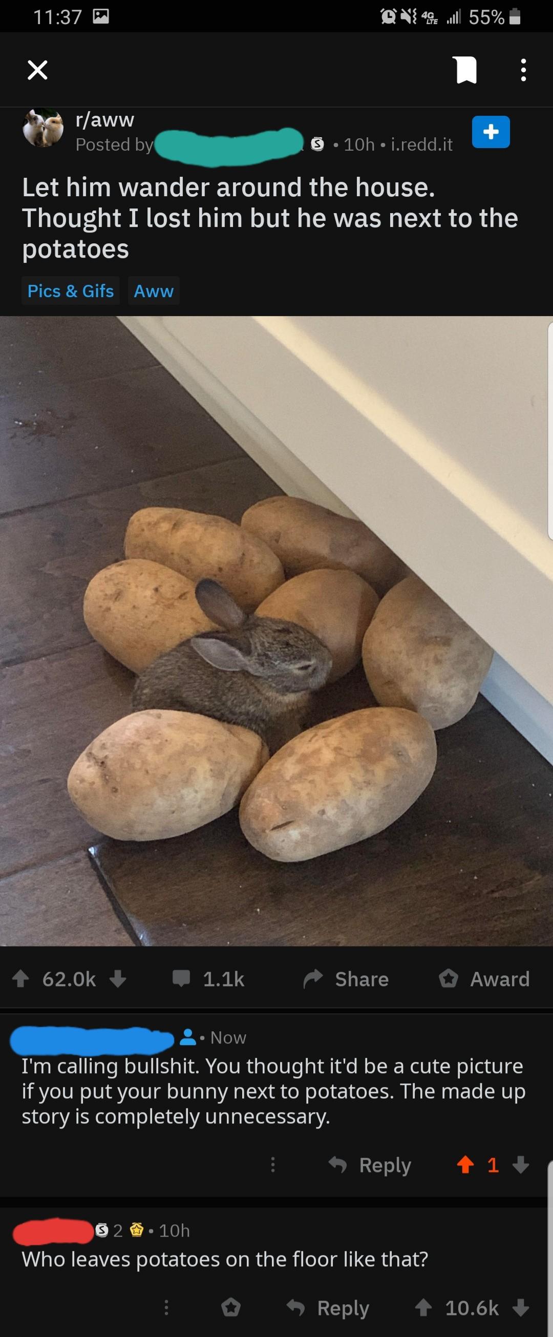 Bullshitters called out - bunny and potatoes - P Din 4Il 55% raww Posted by 3 10h j.redd.it Let him wander around the house. Thought I lost him but he was next to the potatoes Pics & Gifs Aww Award Now I'm calling bullshit. You thought it'd be a cute pict