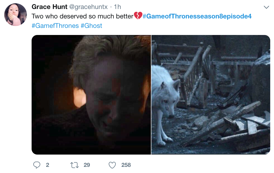 Game of Thrones Season 8 Episode 4 meme - game of thrones brienne and ghost sad meme.