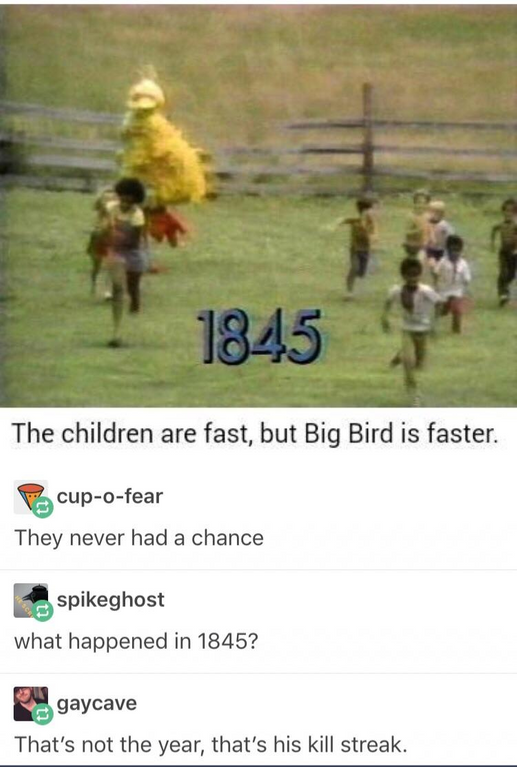 Offensive Meme - children are fast but big bird - 1845 The children are fast, but Big Bird is faster. cupofear They never had a chance spikeghost what happened in 1845? gaycave That's not the year, that's his kill streak.