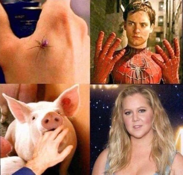 Offensive Meme - Spiderman and Amy Schumer