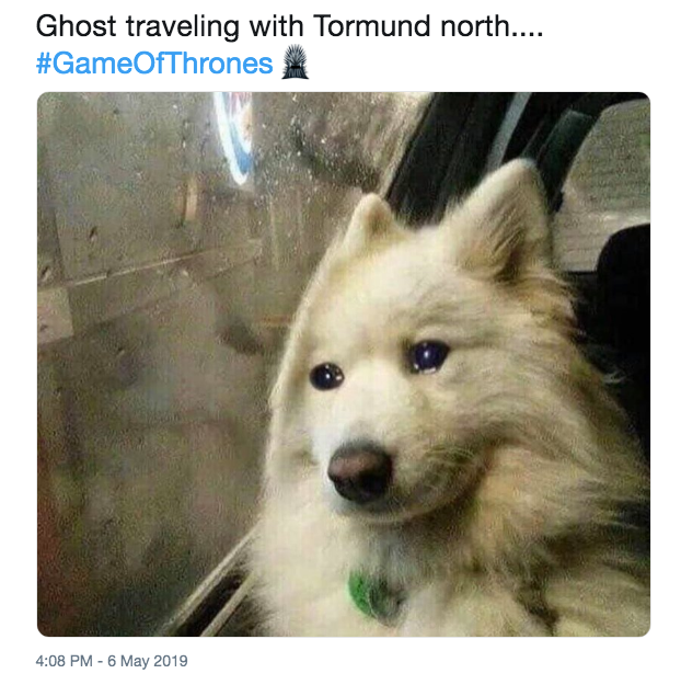 Ghost meme game of thrones - Ghost traveling with Tormund north....