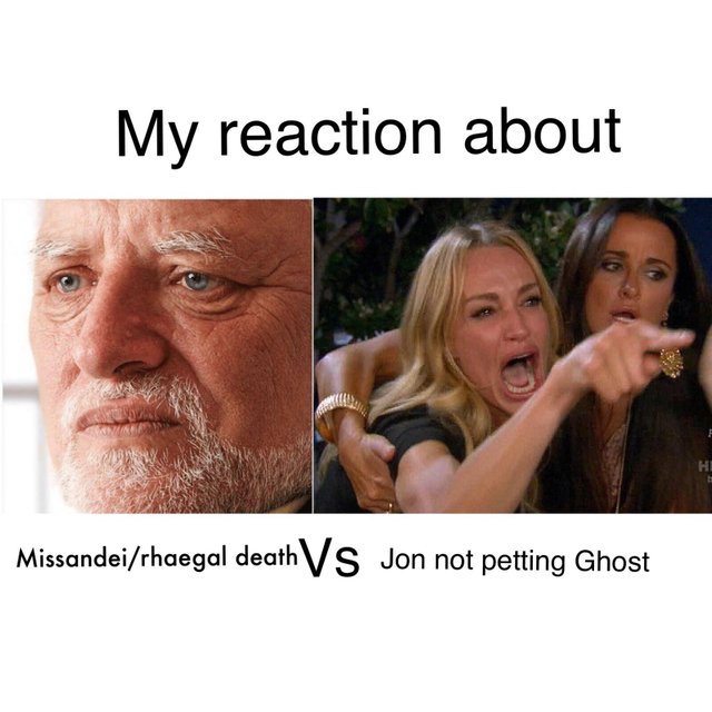 Ghost meme game of thrones - My reaction about Missandeirhaegal death Vs Jon not petting Ghost