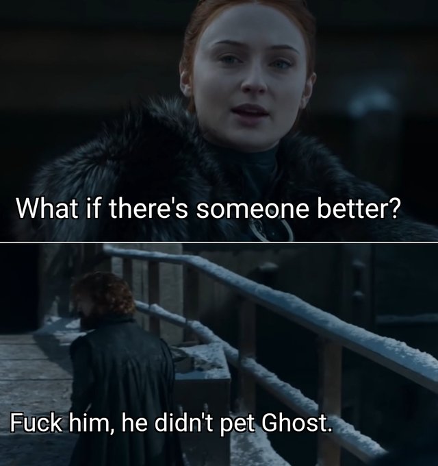 Ghost meme game of thrones - What if there's someone better? Fuck him, he didn't pet Ghost.