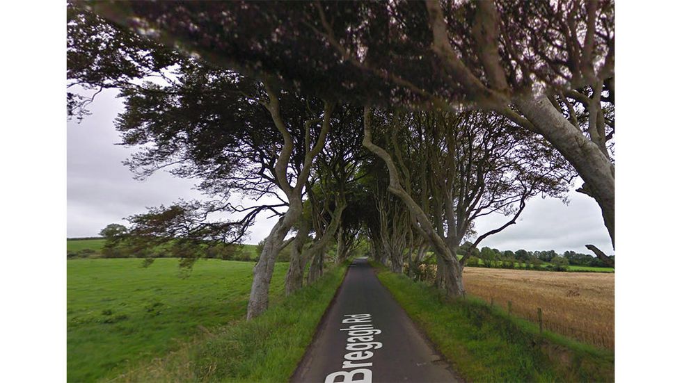 The Kingsroad in real life is in County Antrim, Northern Ireland.