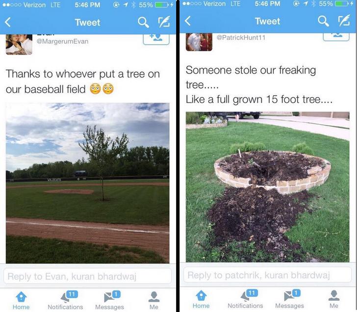 dirty tree memes - .Cco Verizon Lte @ 4 ..000 Verizon Lte @ Tweet 1 $ 55% 0 Q Tweet 7% 55% D Q re. e Thanks to whoever put a tree on our baseball field Someone stole our freaking tree..... a full grown 15 foot tree.... to Evan, kuran bhardwaj to patchrik,