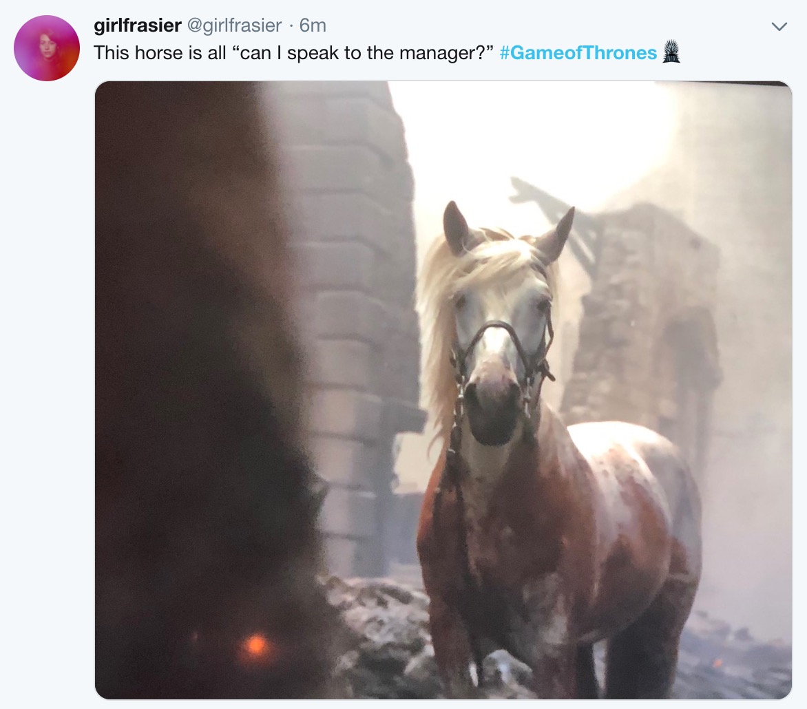 Game of Thrones Season 8 Episode 5 memes - stallion - girlfrasier 6m This horse is all can I speak to the manager?