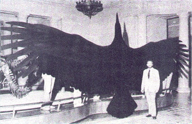 world's largest birds