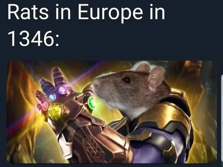 Thanos Endgame meme - Thanos - Rats in Europe in 1346