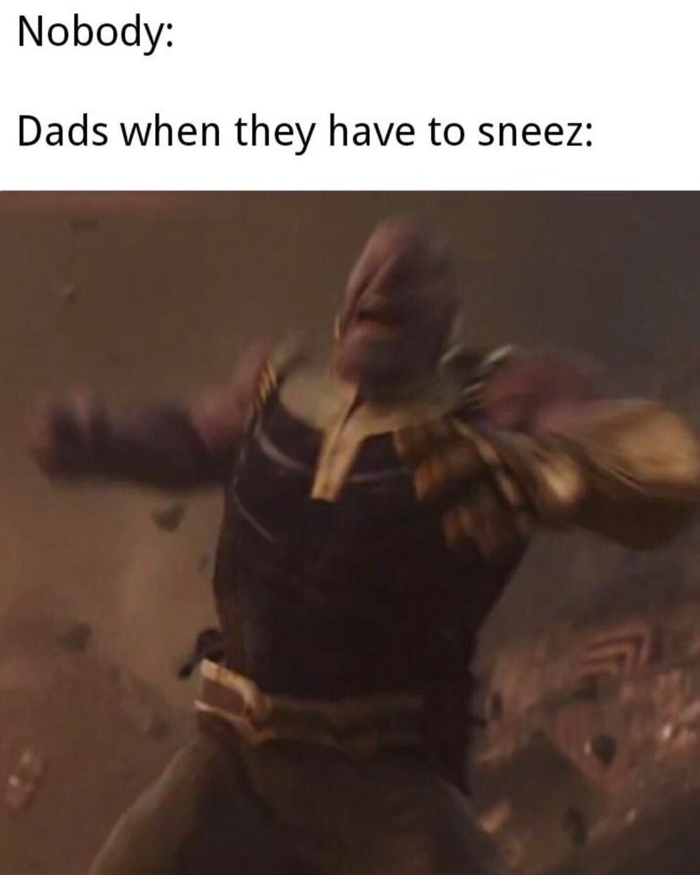 Thanos Endgame meme - thanos dad bod - Nobody Dads when they have to sneez
