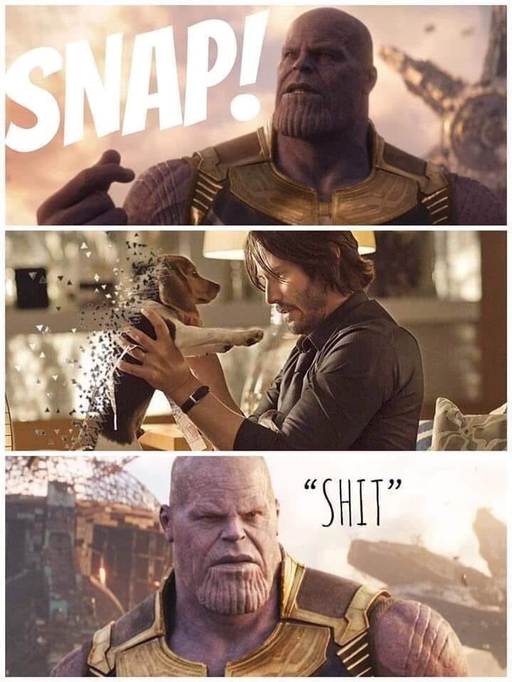 Thanos Endgame meme - photo caption - Snap! Shit All