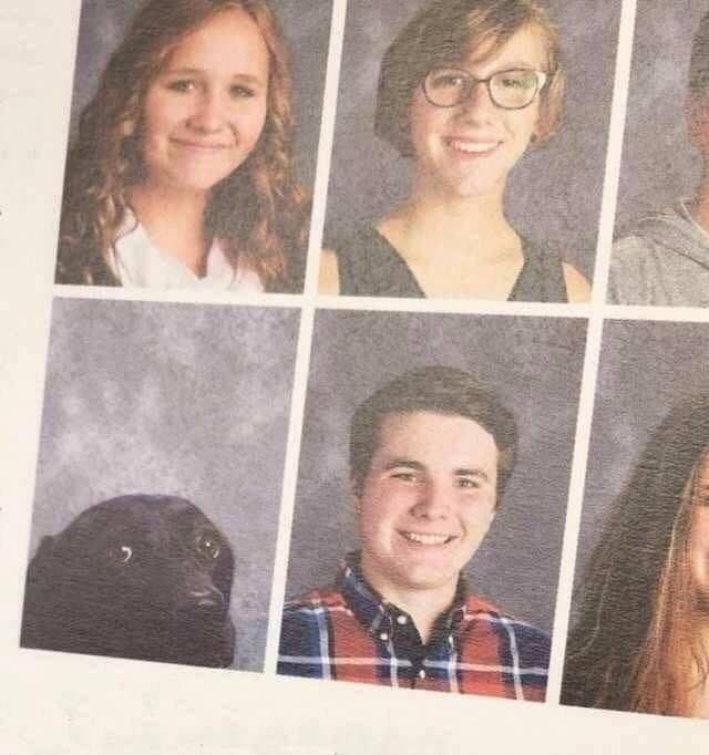 dog in yearbook meme