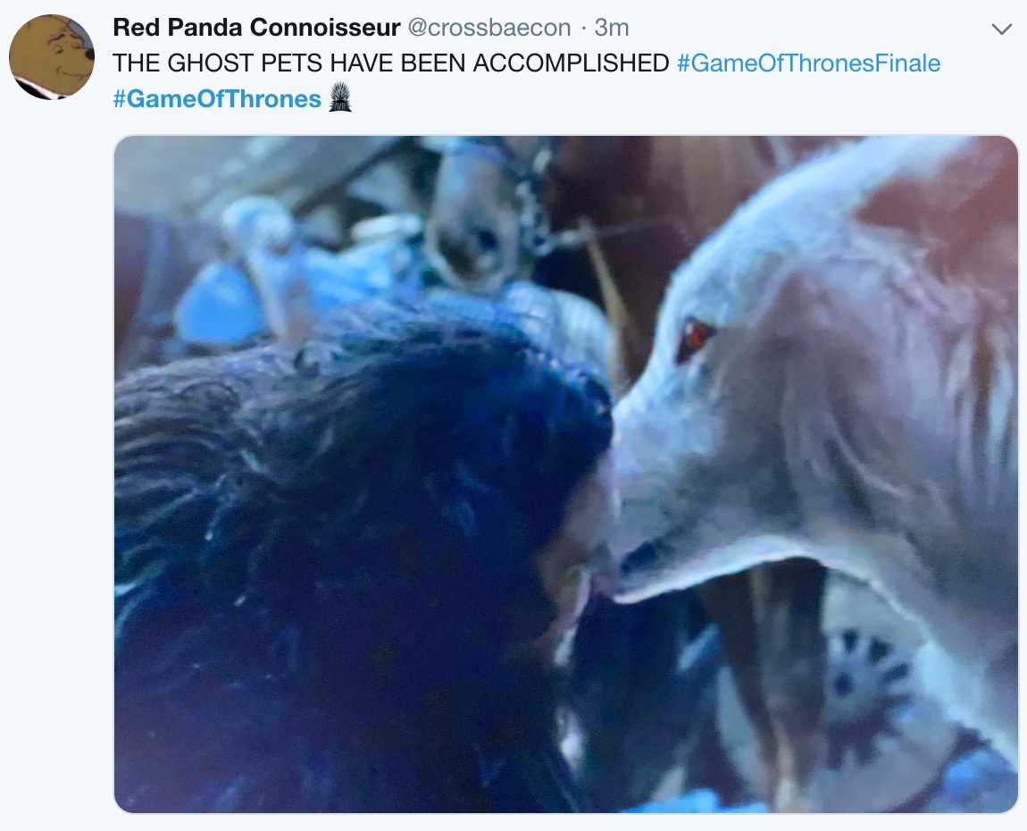 game of thrones final episode meme - photo caption - Red Panda Connoisseur 3m The Ghost Pets Have Been Accomplished