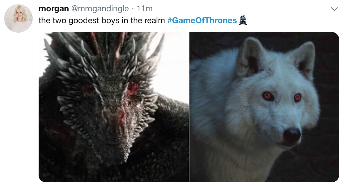 game of thrones final episode meme - Game of Thrones - morgan 11m the two goodest boys in the realm #