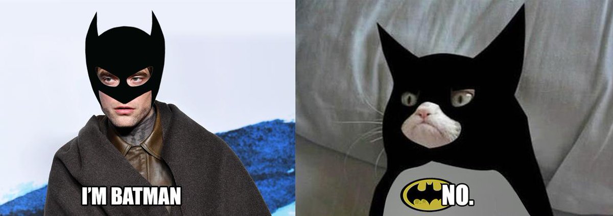 Robert Pattinson Batman Memes - batman kitty - I'M Batman No.