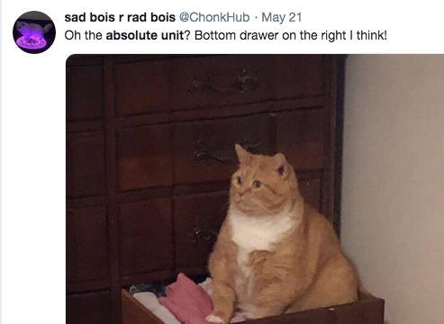 absolute units elon musk - photo caption - sad bois r rad bois . May 21 On the absolute unit? Bottom drawer on the right I think!