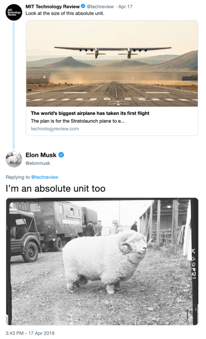 absolute units elon musk - absolute unit sheep - Mit Technology Review Biocheview Apr 17 Look at the size of this absolute unit The world's biggest airplane has taken its first flight The plan is for the Stratolaunch planeto e... technology .com Elon Musk