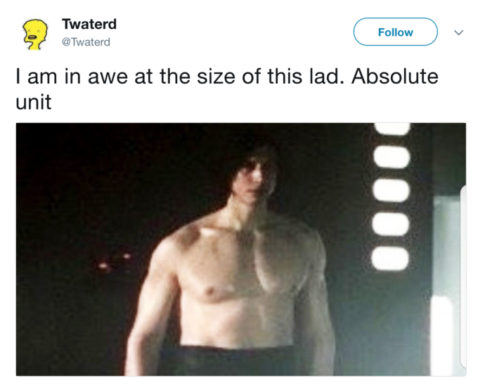 absolute units elon musk - kylo ren meme ben swolo - Twaterd I am in awe at the size of this lad. Absolute unit