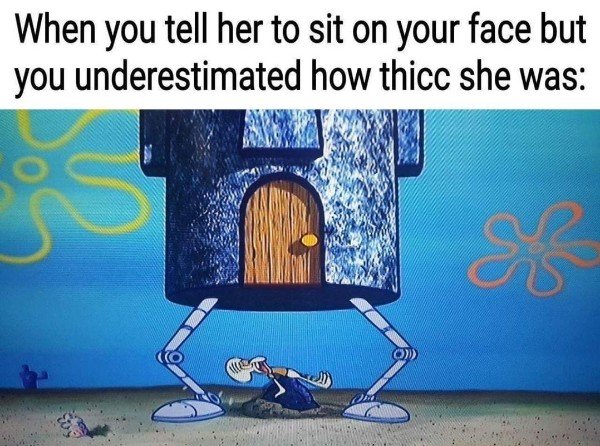 funny sex meme - you tell her to sit on your face - When you tell her to sit on your face but you underestimated how thicc she was