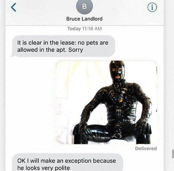 funny sex meme - bruce landlord - B Bruce Landlord Today It is clear in the lease no pets are allowed in the apt. Sorry Delivered Ok I will make an exception because he looks very polite