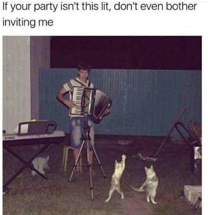 funny cat memes - party lit meme - If your party isn't this lit, don't even bother inviting me