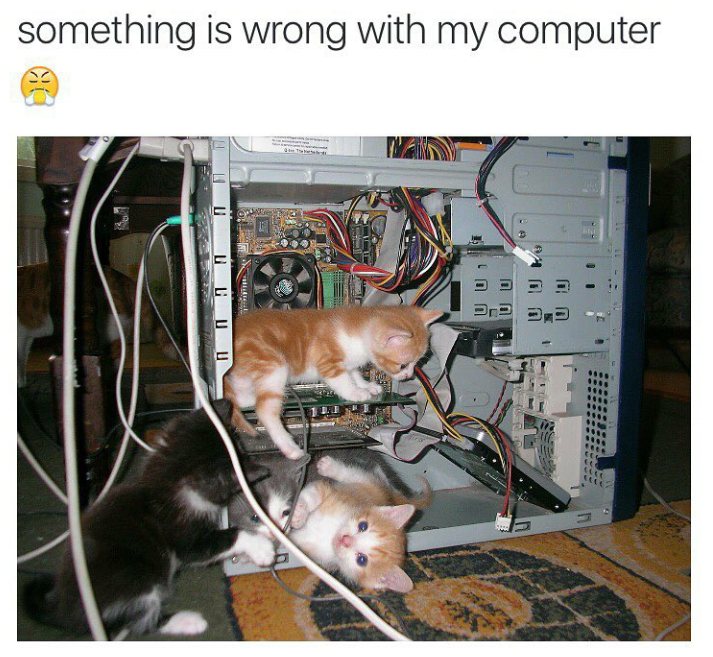 funny cat memes - kittens in computer - something is wrong with my computer 1 1 Uo For U