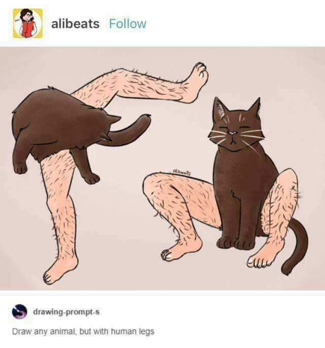 funny cat memes - cat with human legs - alibeats Ev drawingprompts Draw any animal, but with human legs