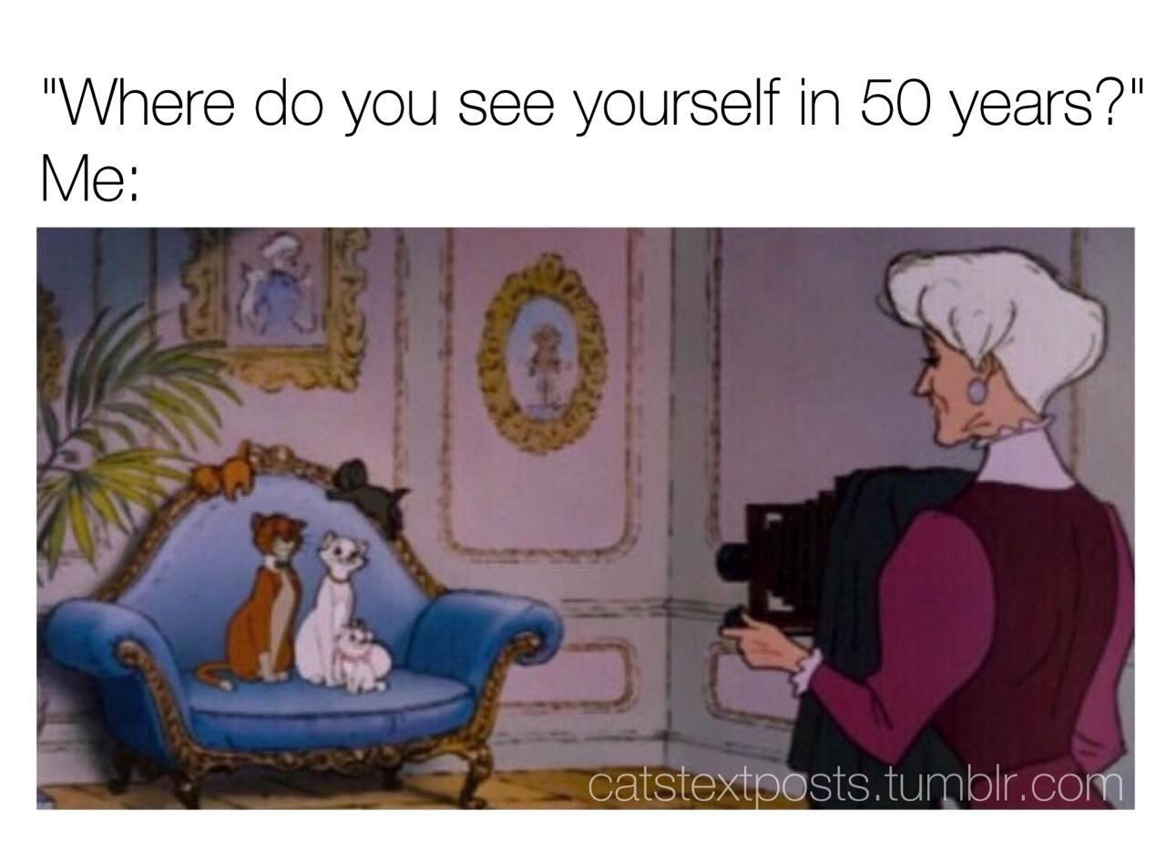 funny cat memes - aristocats funny quotes - "Where do you see yourself in 50 years?" Me catstextposts.tumblr.com