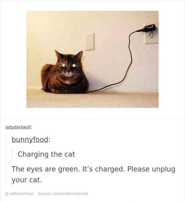 funny cat memes - cat posts - ladydarkwolf bunnyfood Charging the cat The eyes are green. It's charged. Please unplug your cat. setheverman Source jonnovstheintemet