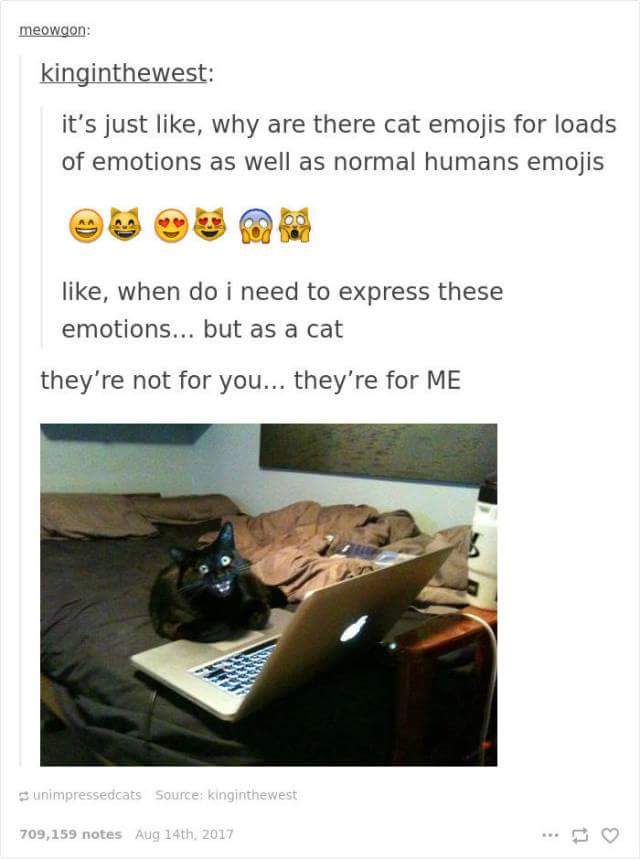 funny cat memes - cats tumblr text posts - meowgon kinginthewest it's just , why are there cat emojis for loads of emotions as well as normal humans emojis , when do i need to express these emotions... but as a cat they're not for you... they're for Me su