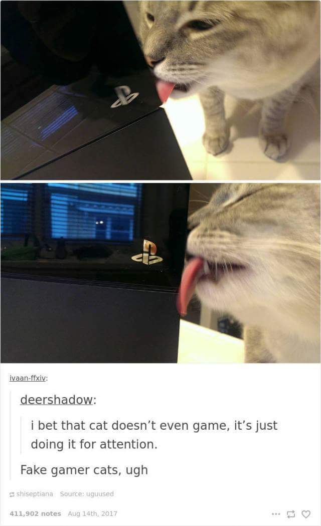 funny cat memes - cat gamer - ivaanffxiv deershadow i bet that cat doesn't even game, it's just doing it for attention. Fake gamer cats, ugh shiseptiana Source uguused 411,902 notes Aug 14th, 2017