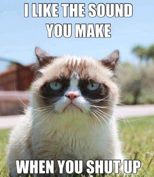 Grumpy Cat meme - when yo shutup