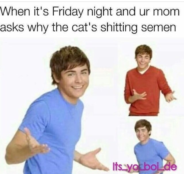 76 Cat Memes That Are LITTERally the Worst 