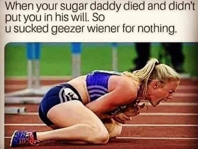 Funny Sex Memes - dog and owner - When your sugar daddy died and didn't put you in his will. So u sucked geezer wiener for nothing.