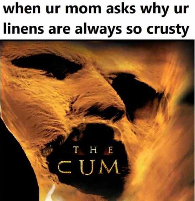 Sex Memes - mummy movies - when ur mom asks why ur linens are always so crusty T H E Cum