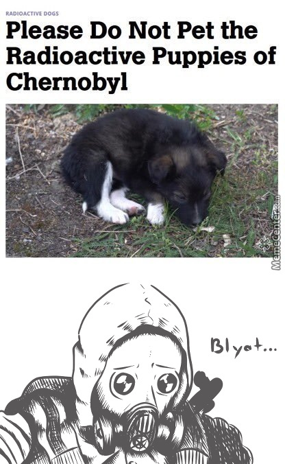 chernobyl meme about chernobyl memes - Radioactive Dogs Please Do Not Pet the Radioactive Puppies of Chernobyl Memecenter.com Blyot...