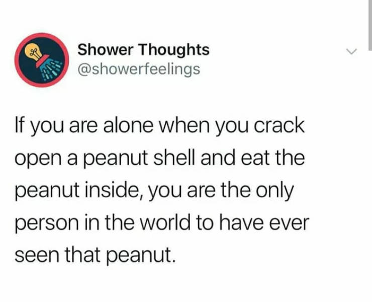 funny memes - document - Shower Thoughts If you are alone when you crack open a peanut shell and eat the peanut inside, you are the only person in the world to have ever seen that peanut.