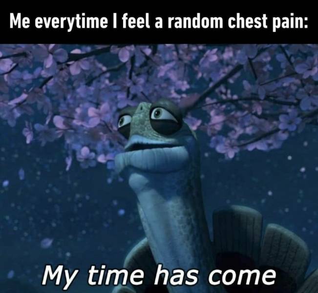 funny memes - kung fu panda my time has come - Me everytime I feel a random chest pain My time has come