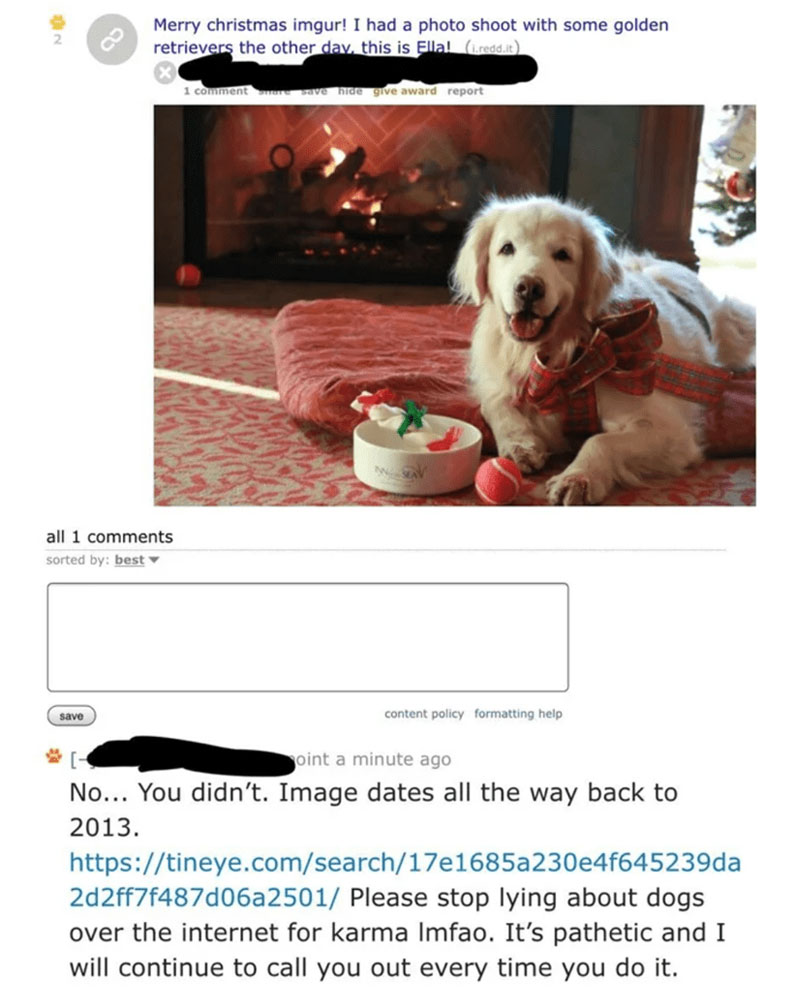 people caught lying - christmas golden retriever puppy dog - Merry christmas imgur! I had a photo shoot with some golden retrievers the other day, this is Ella! bredd.it 1 comment a ve nice give award report all 1 sorted by best save content policy format