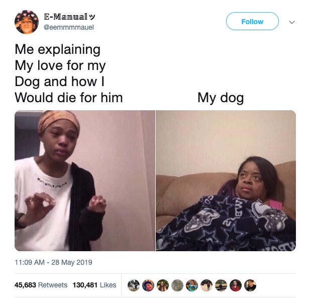 Me Explaining meme - EManual Me explaining My love for my Dog and how | Would die for him My dog 45,683 130,481 09.0990