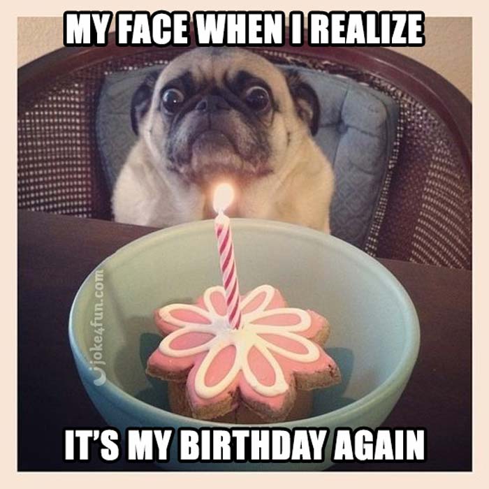 funny happy birthday meme - funny my birthday meme - My Face When I Realize jjoke4fun.com It'S My Birthday Again