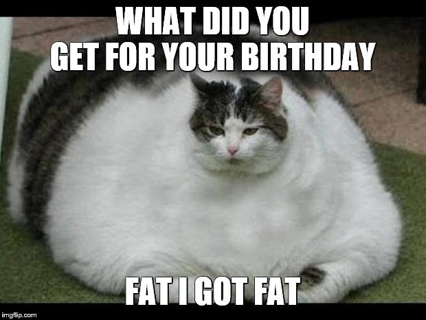 birthday memes - fat cat catnip memes - What Did You Get For Your Birthday Fat I Got Fat imgflip.com
