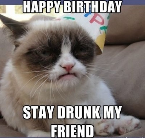 funny happy birthday meme - happy birthday alison funny - Happy Birthday Stay Drunk My Friend