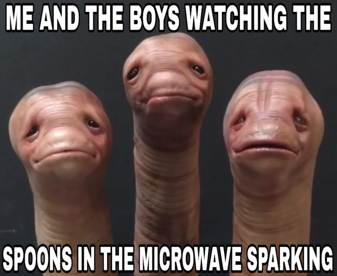 me and the boys watching the spoons spark in the microwave - Me And The Boys Watching The Spoons In The Microwave Sparking