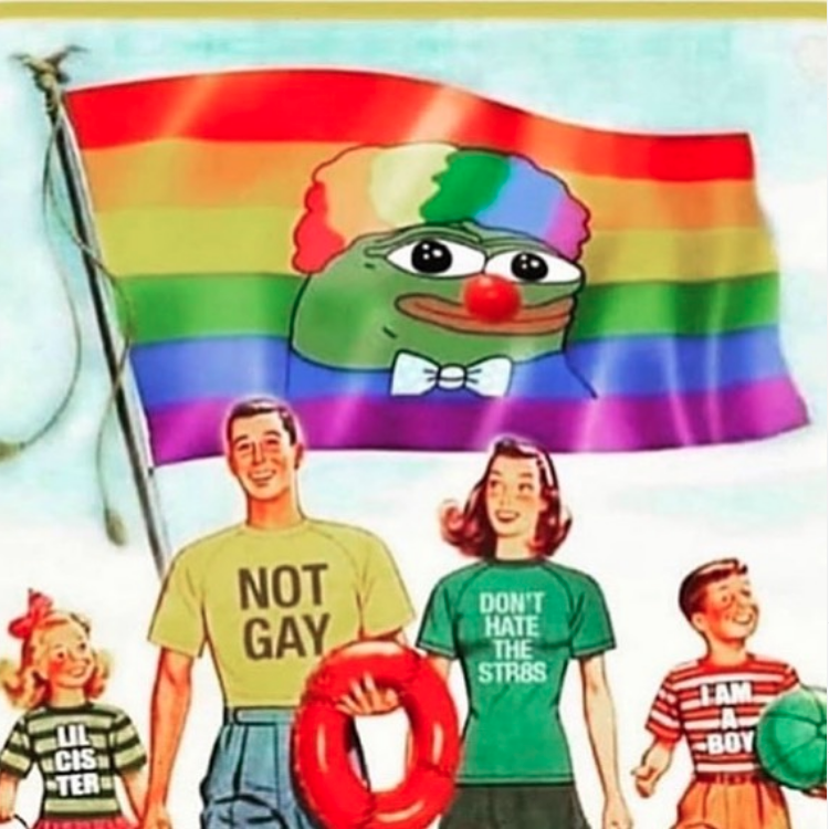 Straight Pride Parade Memes - honkler nazi - Not Gay Don'T Hate The Stres Siame Boy Tr