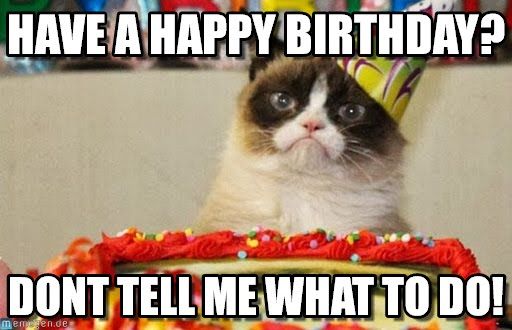 cat birthday memes - disneyland park, moteurs... action! stunt show spectacular - Have A Happy Birthday? Dont Tell Me What To Do! emen.de