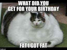 cat birthday memes - fat cat - What Did You Get For Your Birthday Fat I Got Fat