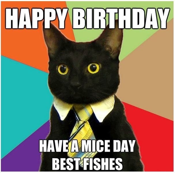 cat birthday memes - funny cat happy birthday - Happy Birthday Have A Mice Day Best Fishes