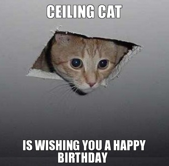 cat birthday memes - ceiling cat is watching you - Ceiling Cat Is Wishing You A Happy Birthday